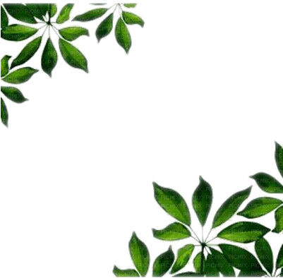 Frame Wonderful Picture Images - Green Leaf Border Png (400x400), Png Download
