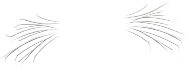 Boo Boo - Footprint (1600x2160), Png Download