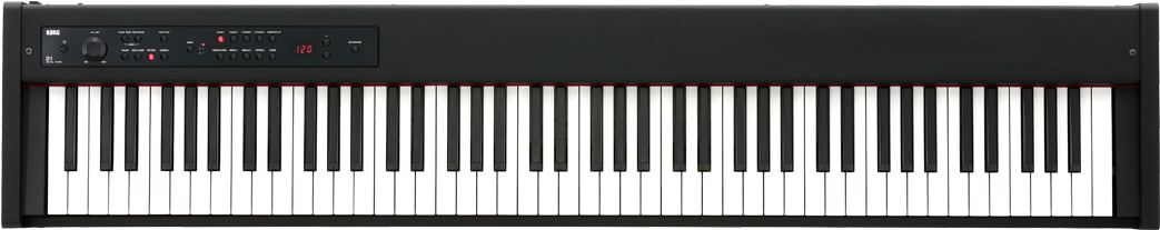 With Its High-quality Keybed Developed By Korg And - Casio Privia Px 560m (1200x500), Png Download