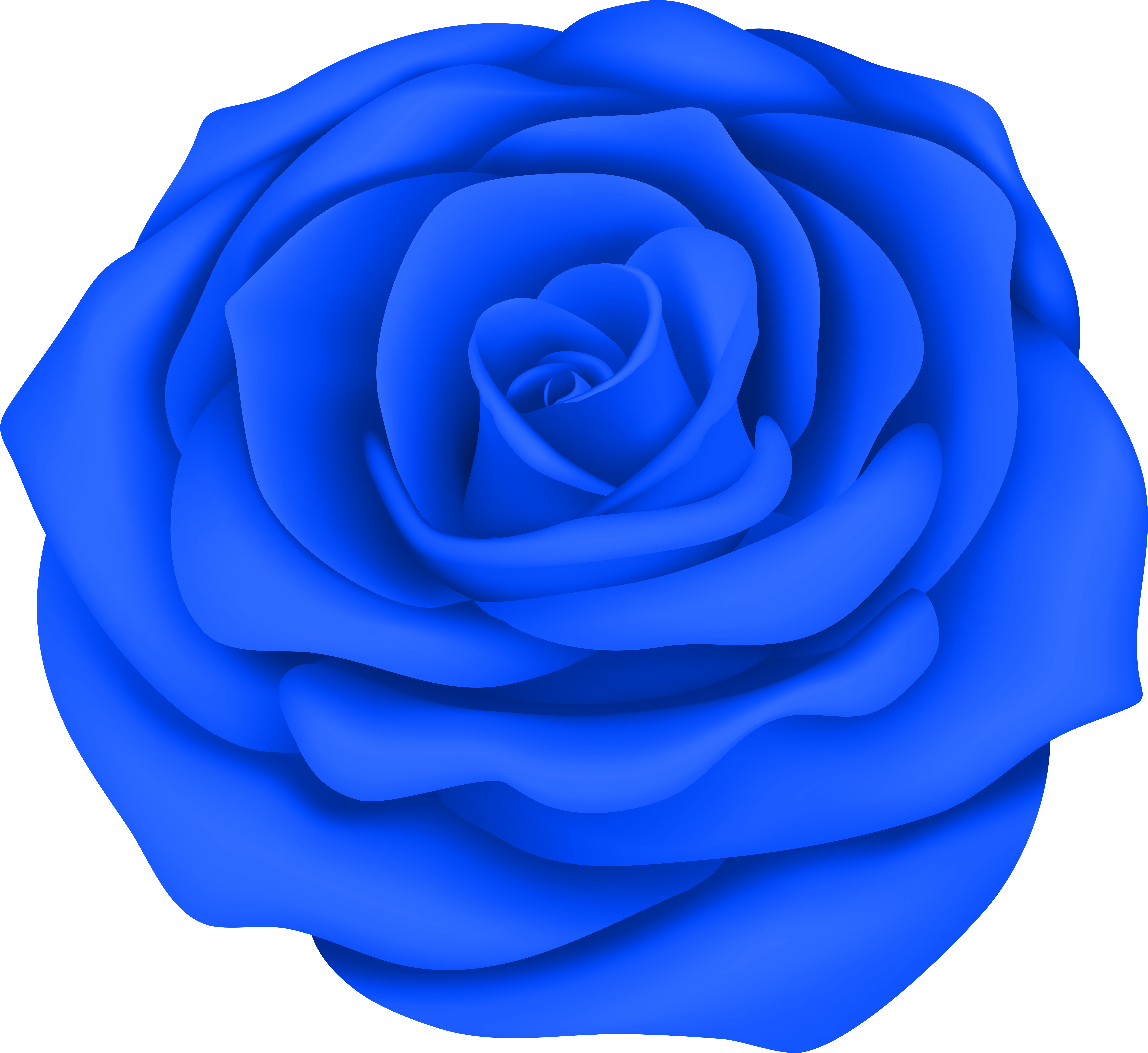 Blue Rose Png (8000x7335), Png Download