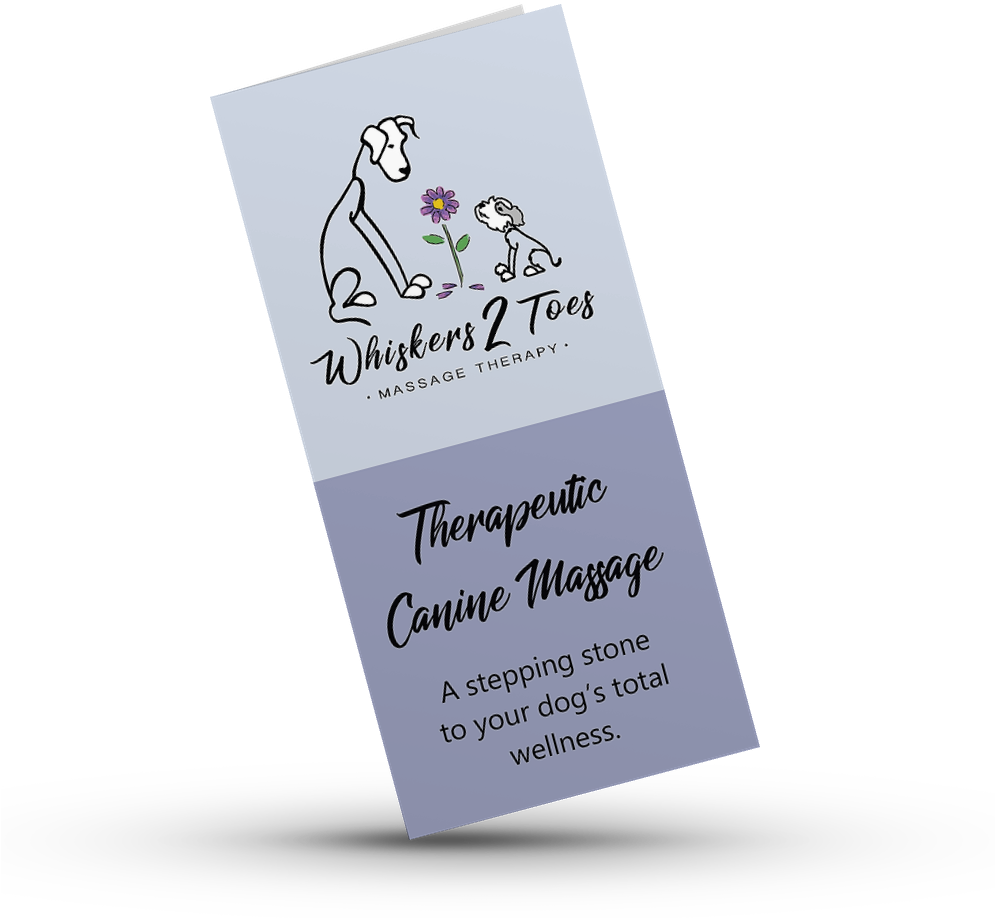 Whiskers 2 Toes Llc - Zoda Design (994x1152), Png Download