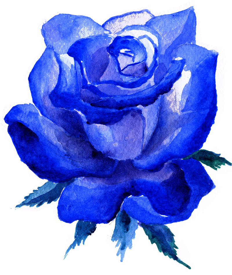 Flowers Flower Boquet Bouquet Watercolor Watercolour - Portable Network Graphics (800x947), Png Download