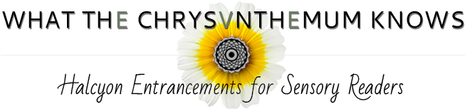 Wck Logo Main Small - Useless Magic: Lyrics And Poetry (800x200), Png Download