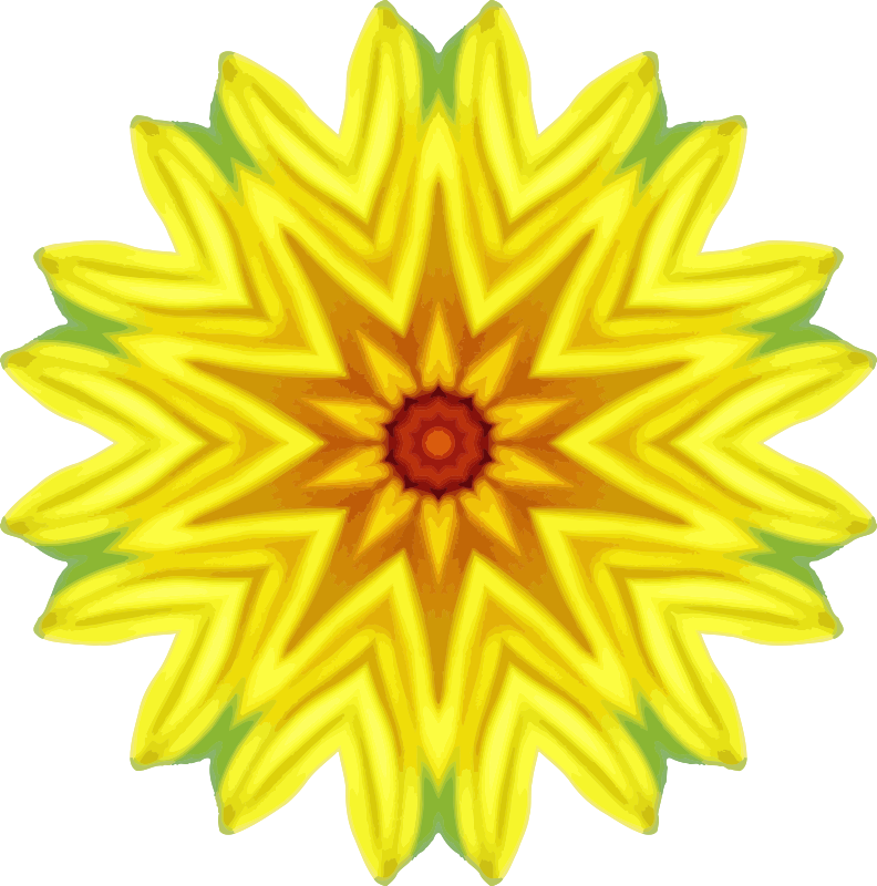 Medium Image - Clip Art (792x800), Png Download