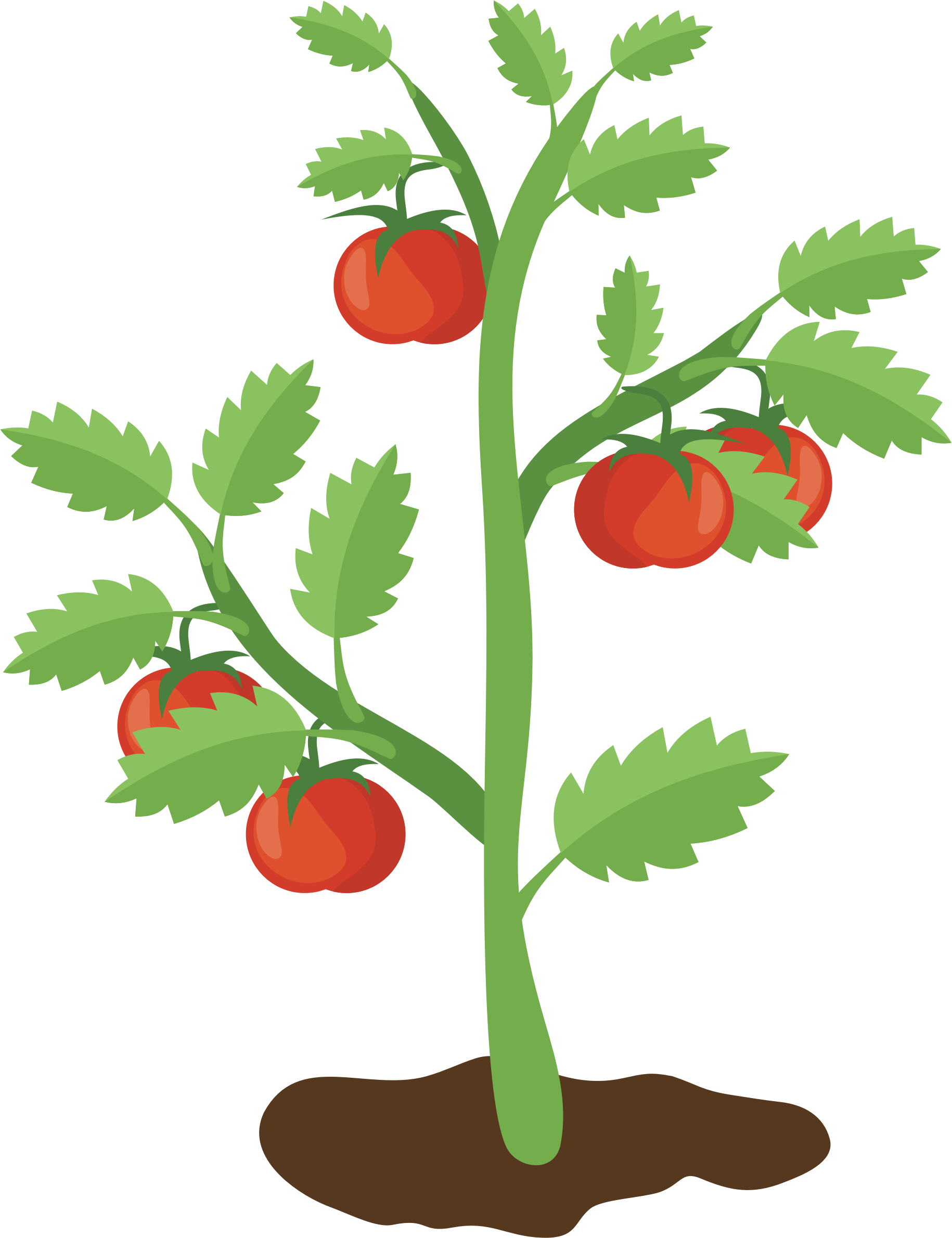 Big Image - Clip Art (1830x2380), Png Download
