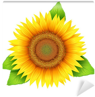 Flower Of Sunflower With Leaves, Isolated On White, - Sunflower Oil Label Design (400x400), Png Download