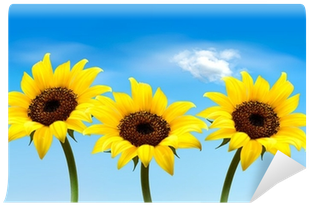 Nature Background With Three Yellow Sunflowers - Vector Graphics (400x400), Png Download