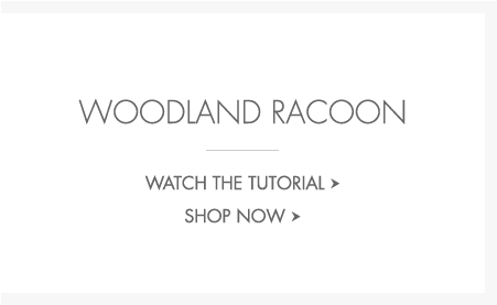 Woodland Raccoon Woodland Raccoon - Pottery Barn Kids Inc (494x390), Png Download