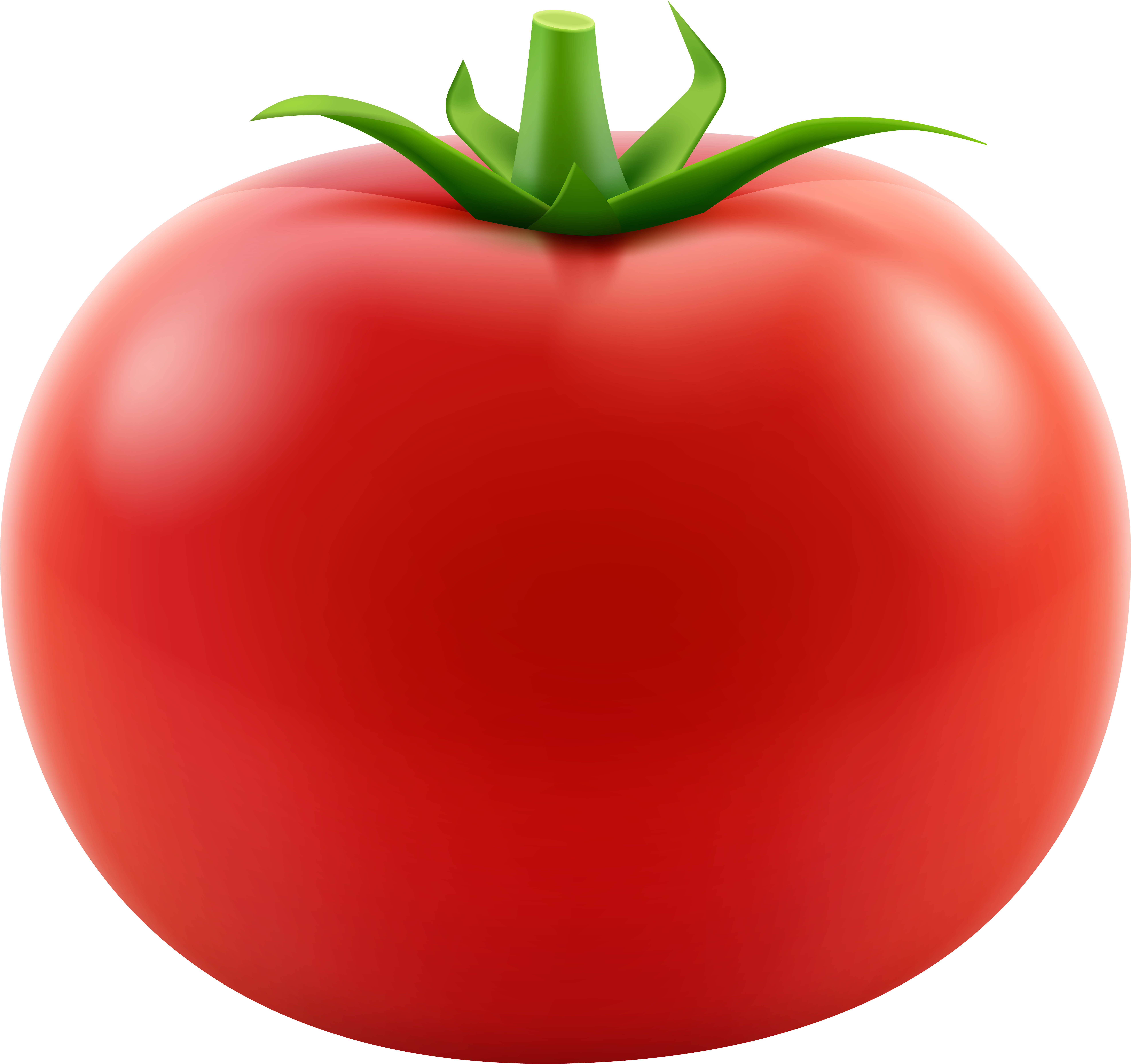 Tomato Plant Png (8000x7536), Png Download