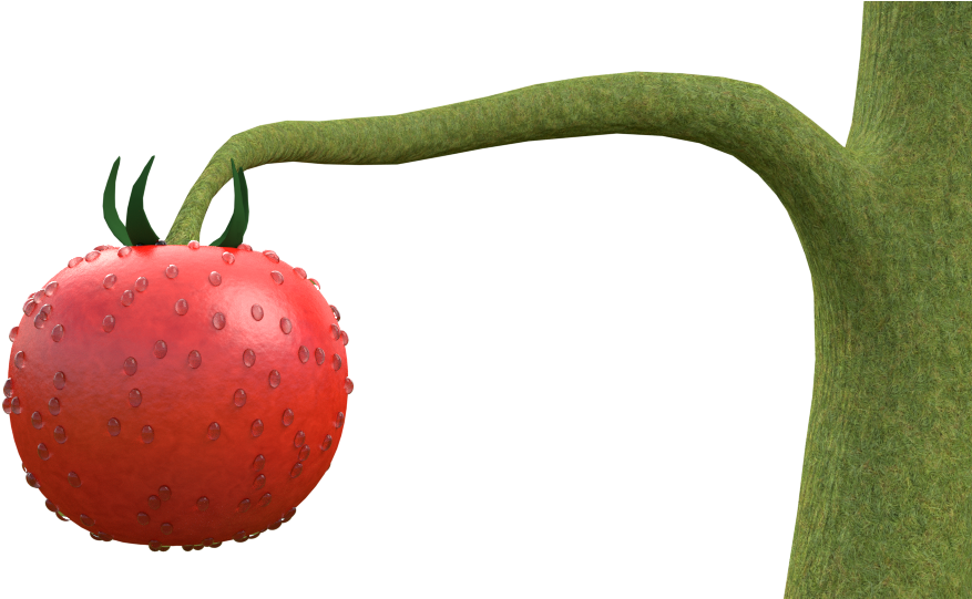 Tomato Plant Wip - Berry (960x540), Png Download