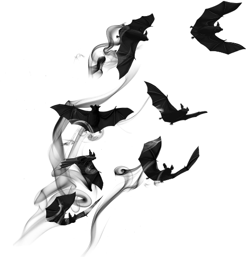 Related Wallpapers - After Dark Picsart Png (550x550), Png Download