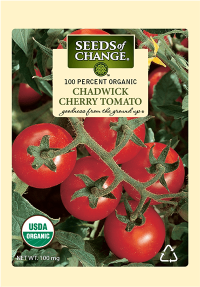 Organic Chadwick Cherry Tomato Seeds - Seeds Of Change Organic Red Cherry Tomato Seeds (573x573), Png Download