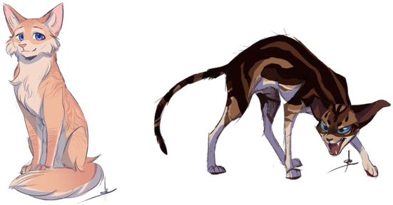 Art Work - Cat Toys (692x350), Png Download