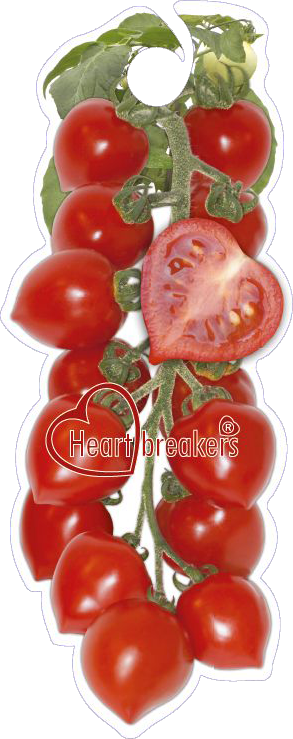 Click To Open Image Click To Open Image - Plum Tomato (293x739), Png Download