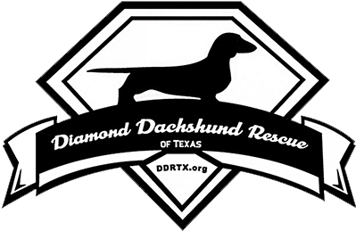Diamond Dachshund Rescue Of Texas Logo - Heartworm Prevention 1st Of The Month (400x400), Png Download