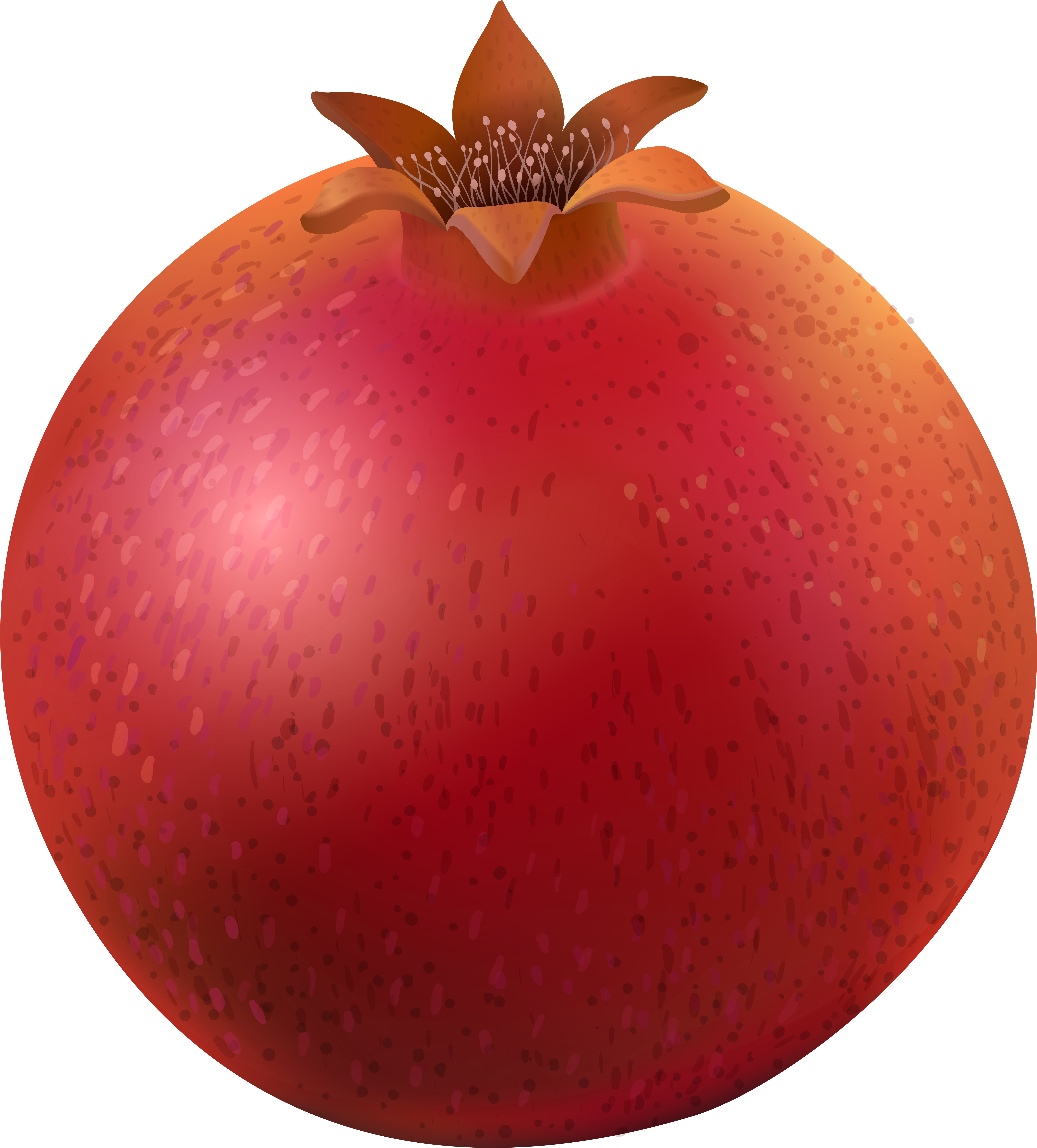 Pomegranate Png (7239x8000), Png Download