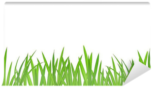 Grass (400x400), Png Download