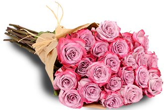 Lavender Roses - Lavender (382x382), Png Download