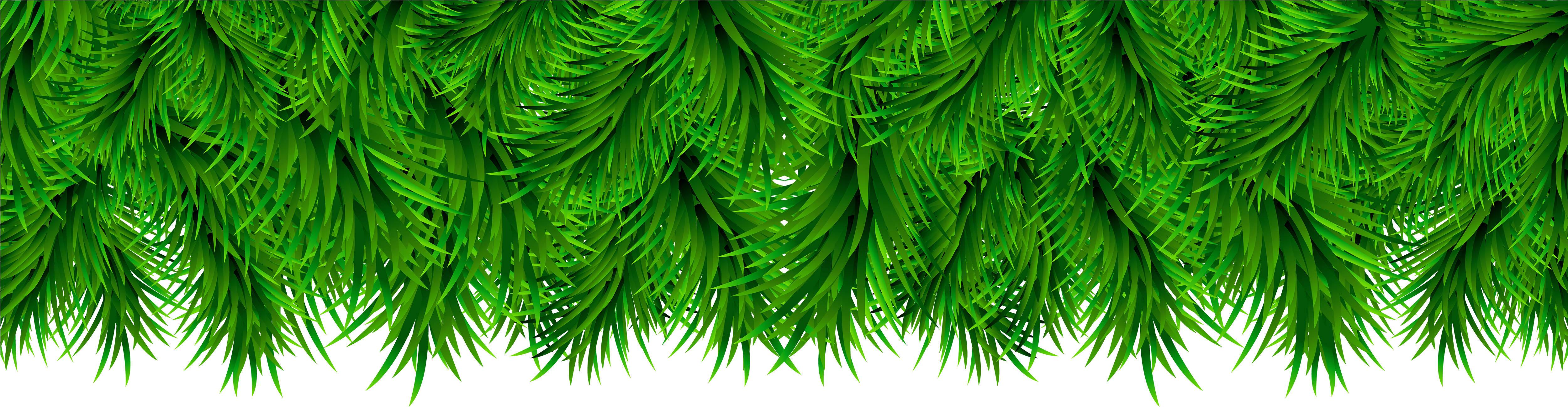 Plant Border Png Clip Art Black And White - Green Leaf Border Png (5000x1403), Png Download