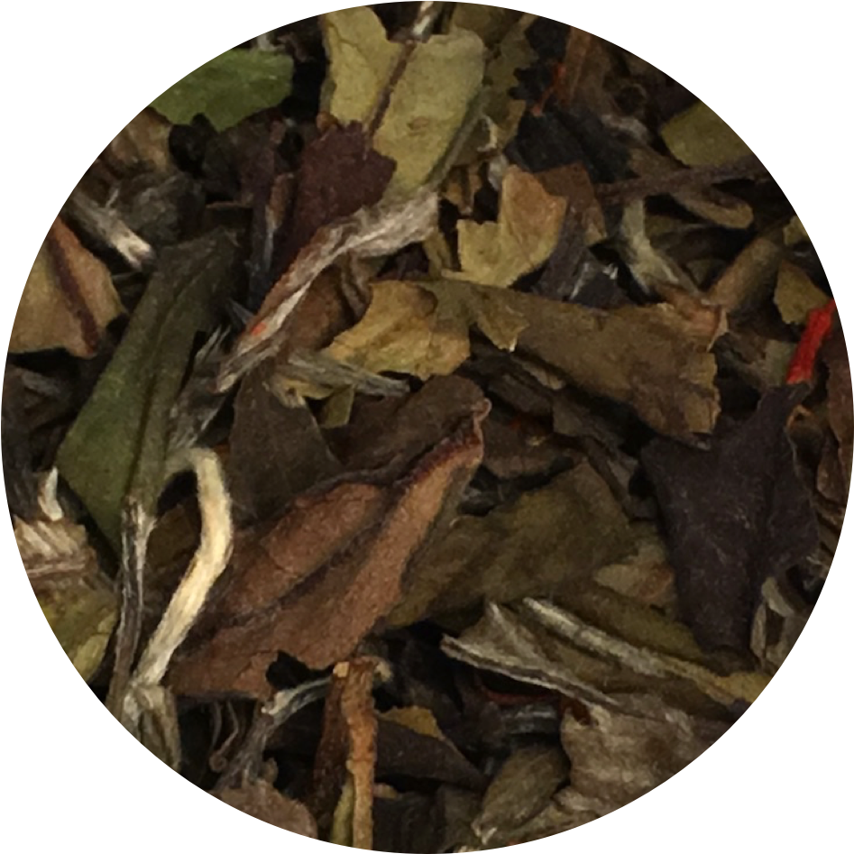 White Pomegranate Tea (1000x1000), Png Download