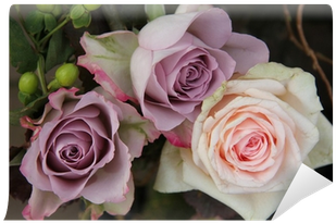 Color (400x400), Png Download