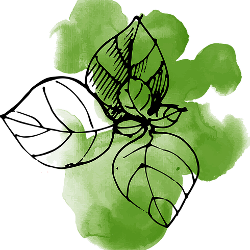 Watercolor Leaves - Watercolor Painting (490x490), Png Download