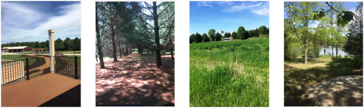 Post Race - Grove (1200x358), Png Download