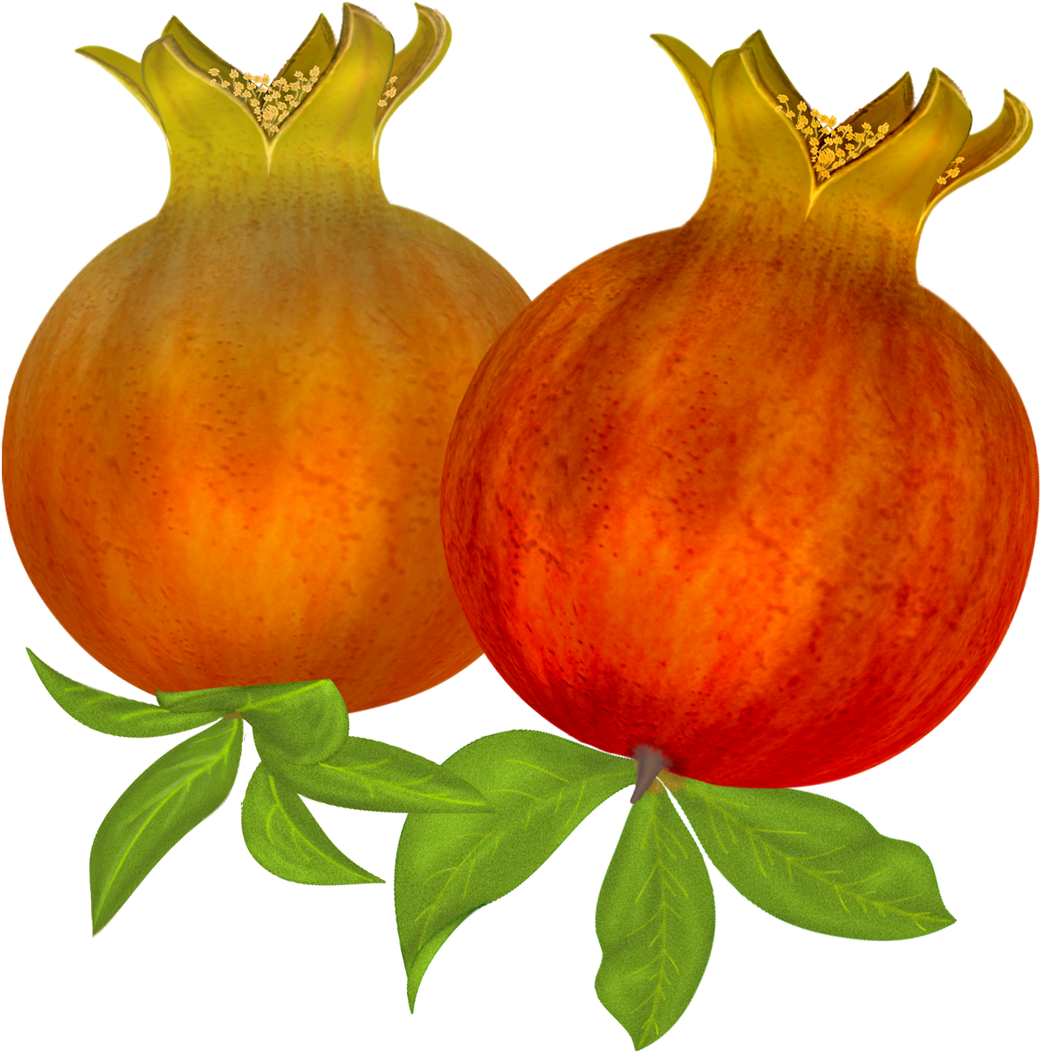 Image Stock Free Pomegranates Png Graphics Pinterest - Pomegranate (1216x1178), Png Download