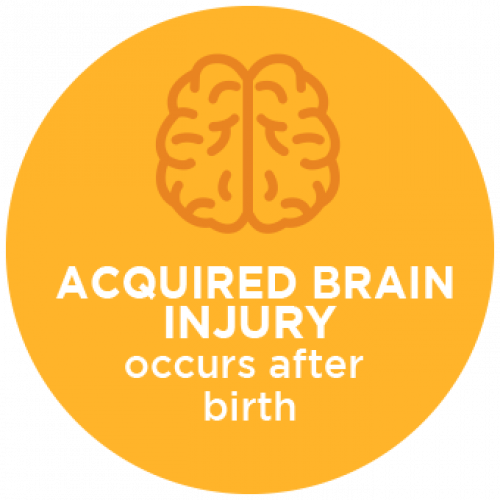 What Is A Brain Injury - Circle (500x500), Png Download