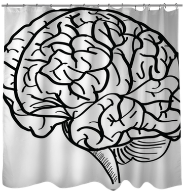 Human Brain Vector Outline Sketched Up - Brain Vector (400x400), Png Download