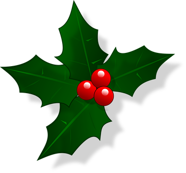 Mail Christmas Holly Xmas Decoration Chris - Holly Christmas (365x340), Png Download