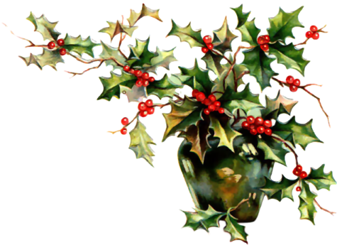 Christmas Holly From - Рождественское Растение (475x345), Png Download