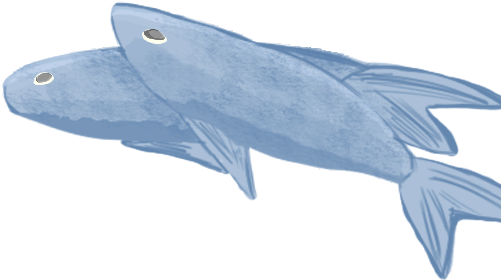 Fish - Wiki (500x500), Png Download