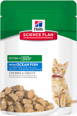 Sp Feline Science Plan Kitten With Ocean Fish - Hills Science Diet Kitten Chicken Wet Pouches 12 X (500x500), Png Download