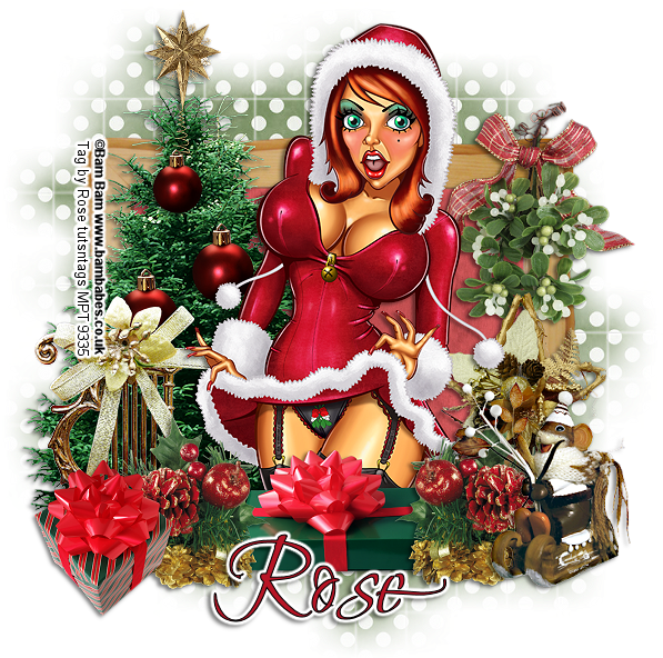 Christmas Holly Ptu - Christmas Ornament (600x600), Png Download