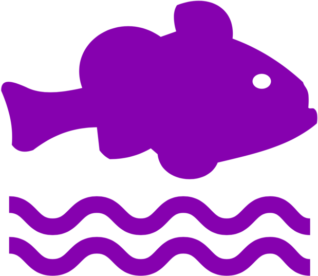 Fish - Icon (1000x920), Png Download
