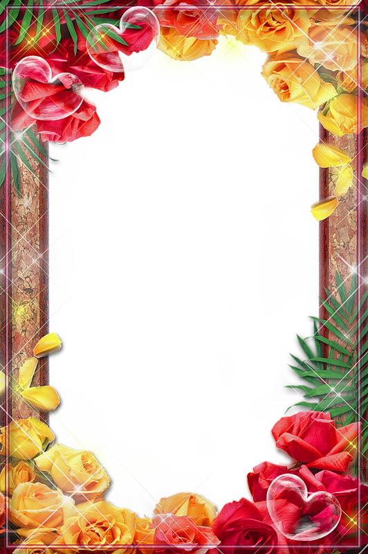 Boarders And Frames, Frame Background, Paper Background, - Flower Photo Frame Download (532x800), Png Download