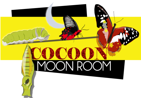 The Cocoon Moon Room - Cocoon Moon Room (500x367), Png Download
