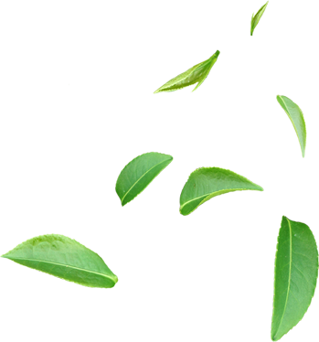 Codeine Online Price For Promethazine How Do I Buy - Tea (349x374), Png Download