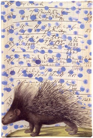 Collection Name - John Derian (500x500), Png Download