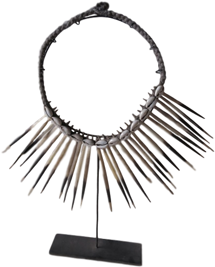 Papua New Guinea Porcupine Quill Necklace - Necklace (480x640), Png Download