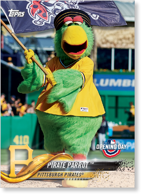 Pirate Parrot (1440x975), Png Download