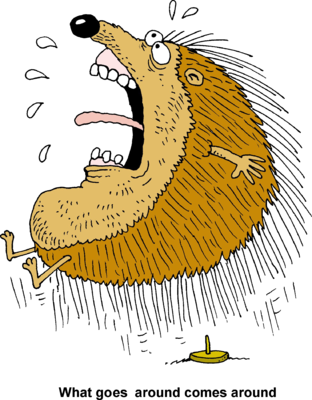 Porcupine - Sitting On A Porcupine (312x400), Png Download