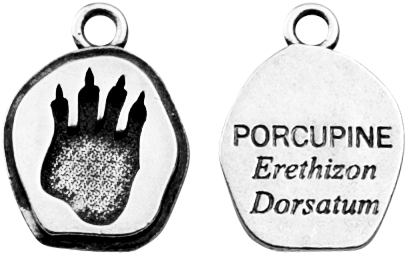 Porcupine (432x432), Png Download