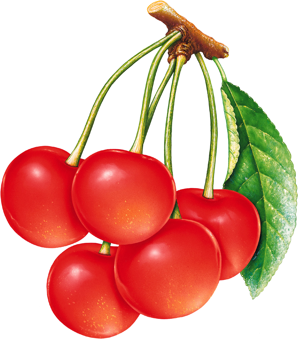Cherries Png Image - Red Cherry (1064x1144), Png Download