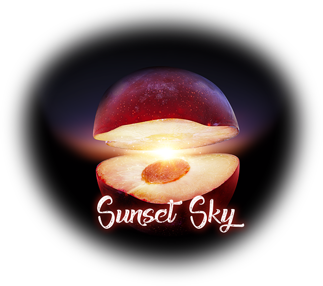 A Pleasure For All The Senses - Edible Mushroom (642x569), Png Download