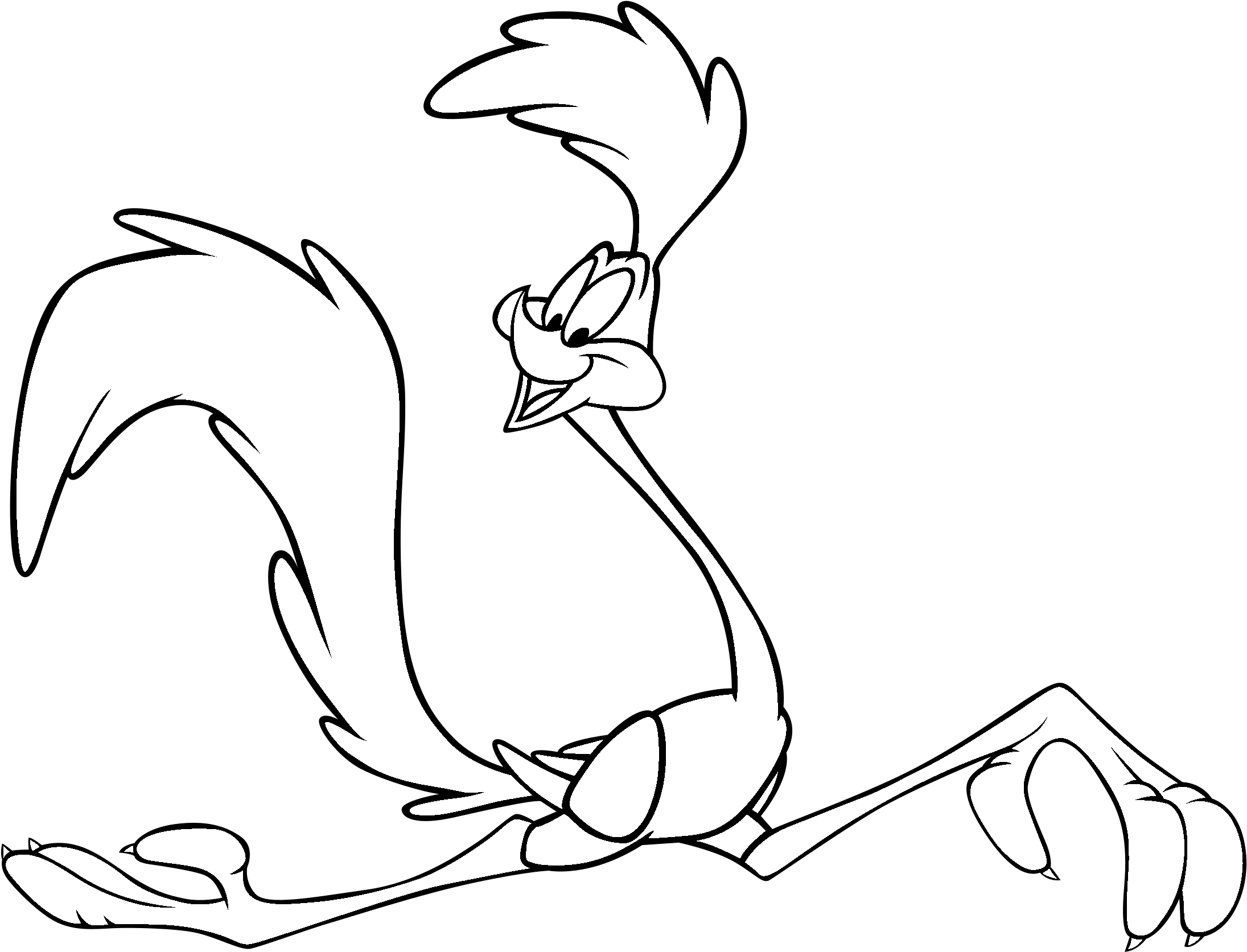 Png Transparent Library Collection Of Free Drawing - Road Runner Black And White (2400x2400), Png Download