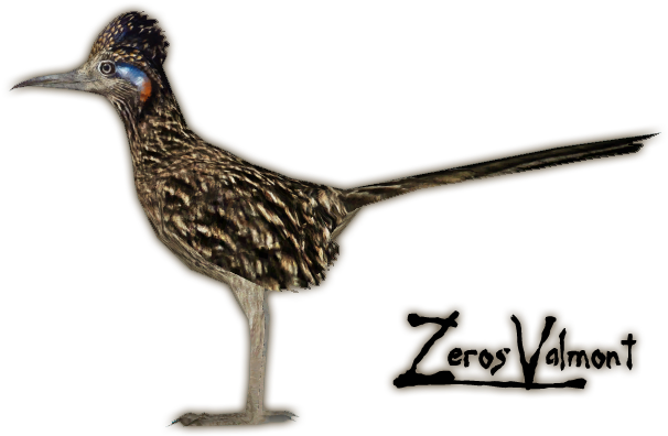 4dd5 - Real Road Runner Png (605x605), Png Download