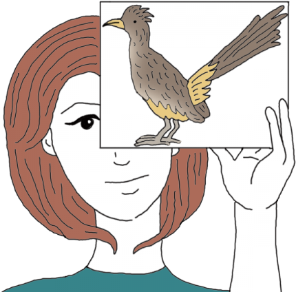 Road Runner - Roadrunner Totem Pole Drawing (450x450), Png Download