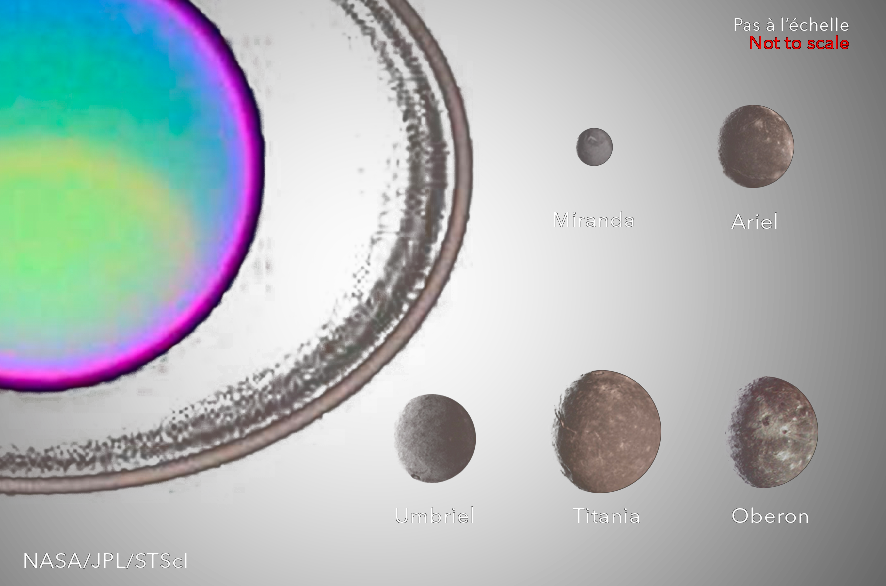 Description Structure Dynamique - Circle (886x586), Png Download